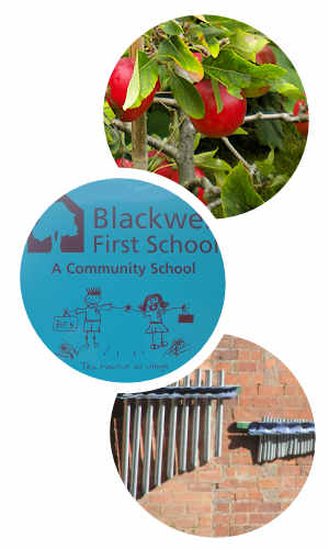 Our School Vision