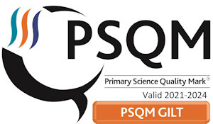 PSQM GILT 2021